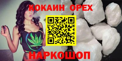 спайс Кингисепп