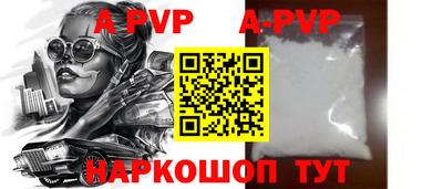спайс Кингисепп