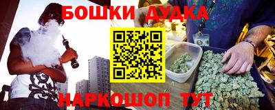 спайс Кингисепп