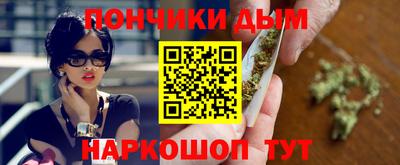 спайс Кингисепп