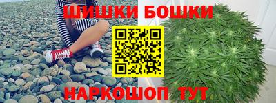 спайс Кингисепп