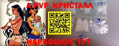 спайс Кингисепп
