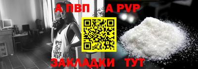 спайс Кингисепп