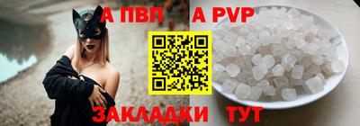 спайс Кингисепп