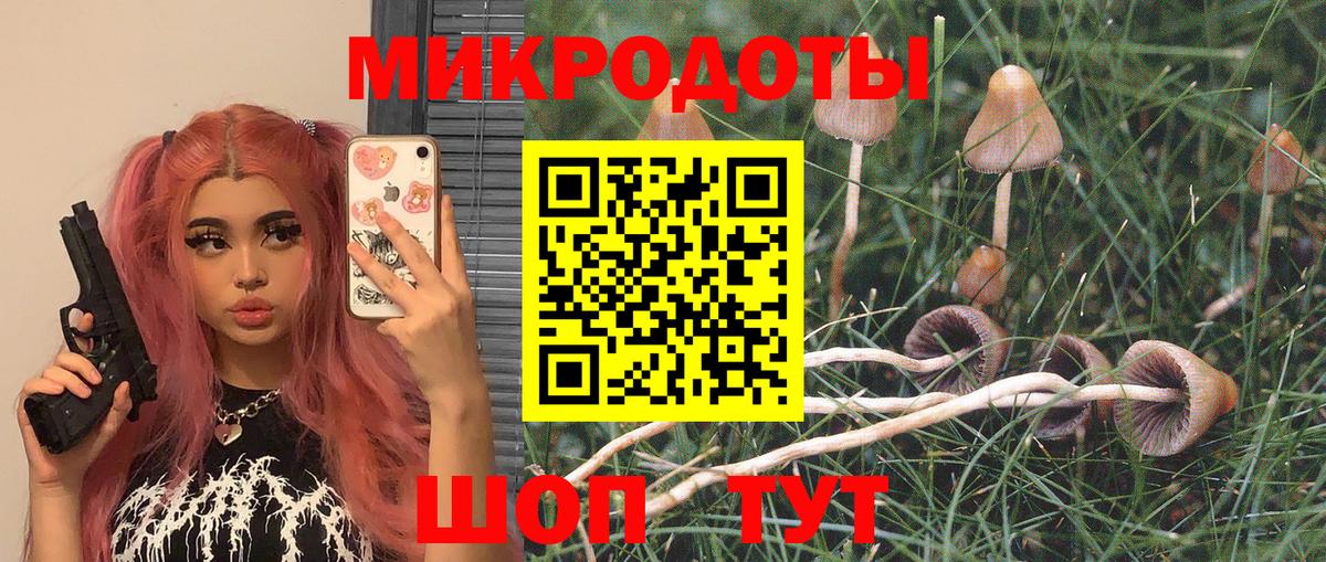 Барабинск  Псилоцибиновые грибы прущие грибы  Галлюциногенные грибы мицелий  Вход с VPN 